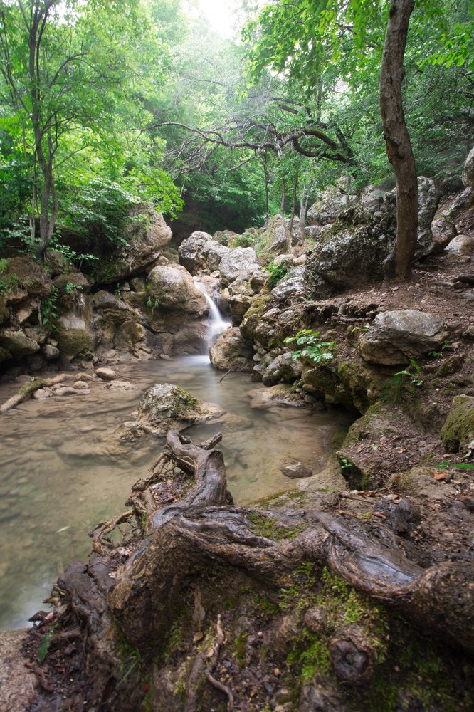 Photograph by Ирина Голомако