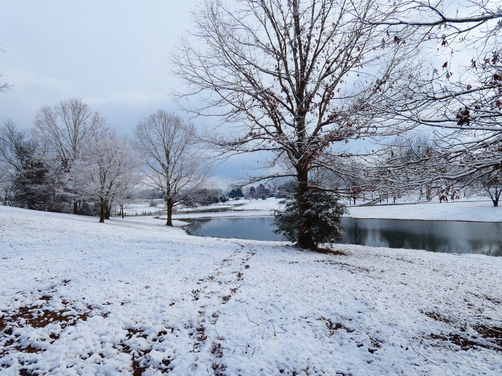 Зима в Теннесси.