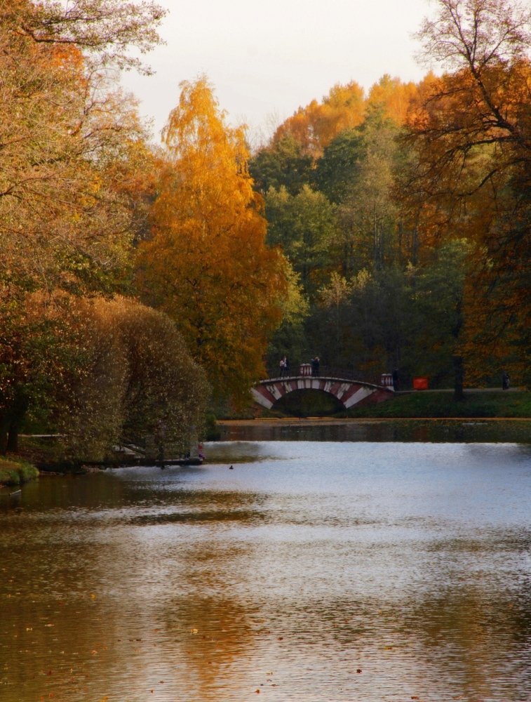 Теплые деньки осени.