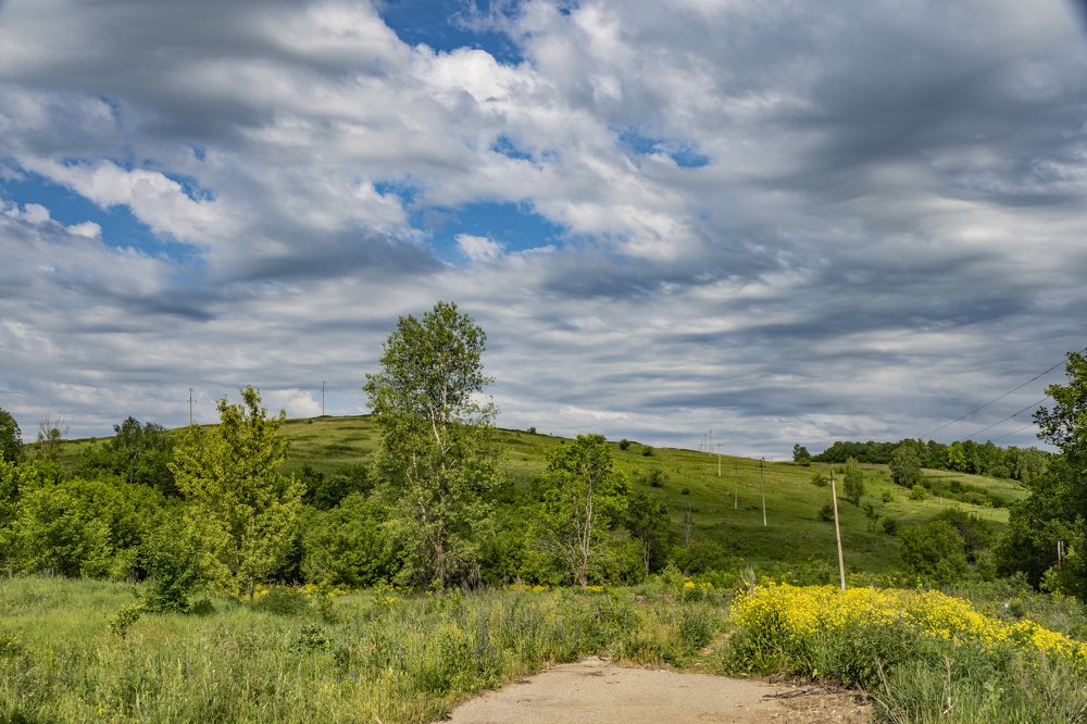 сельский пейзаж...