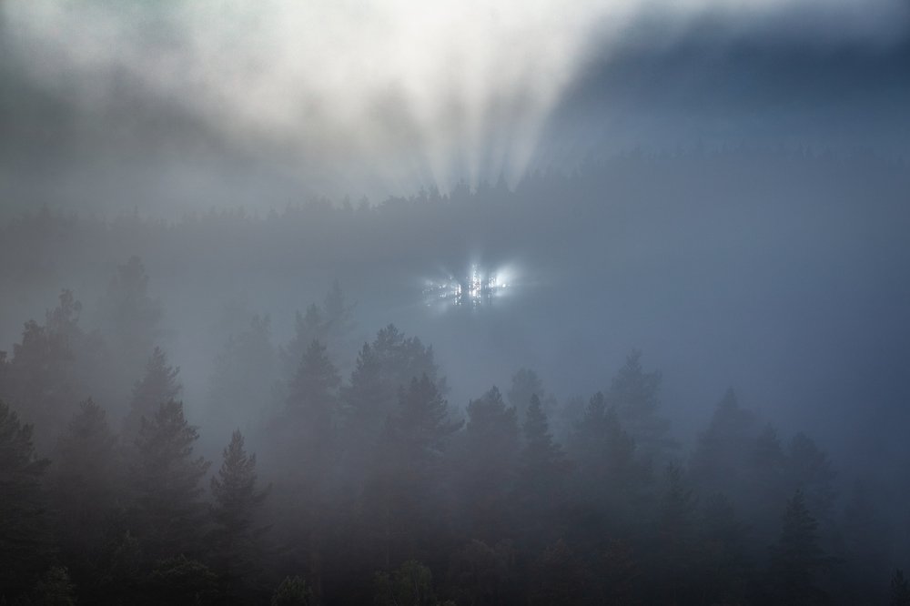 The House of the Rising Sun