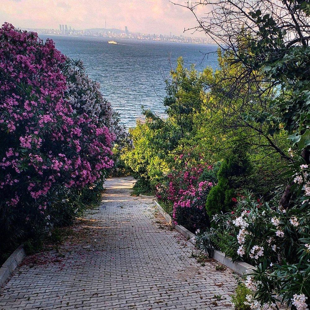 Burgazada