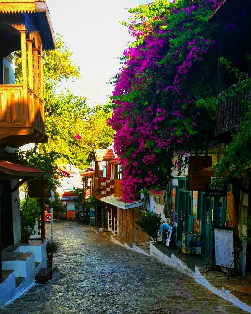 Street with flowers