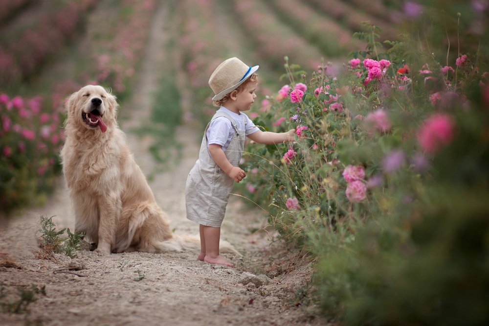 Photograph by Дина Змушко