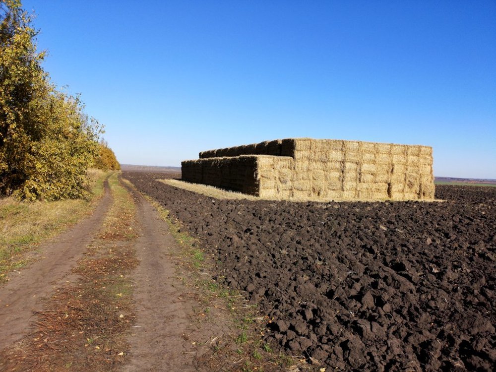 Photograph by Степанов Евгений