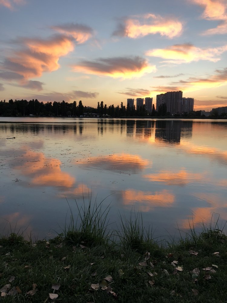 Небесное стадо