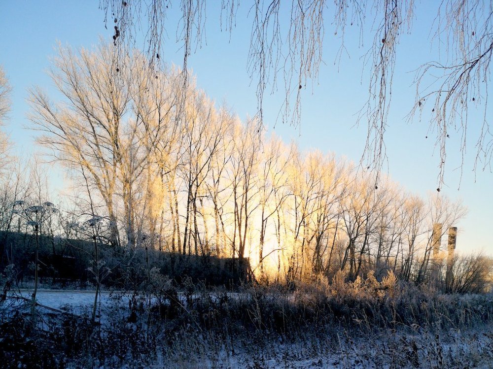 Photograph by Степанов Евгений