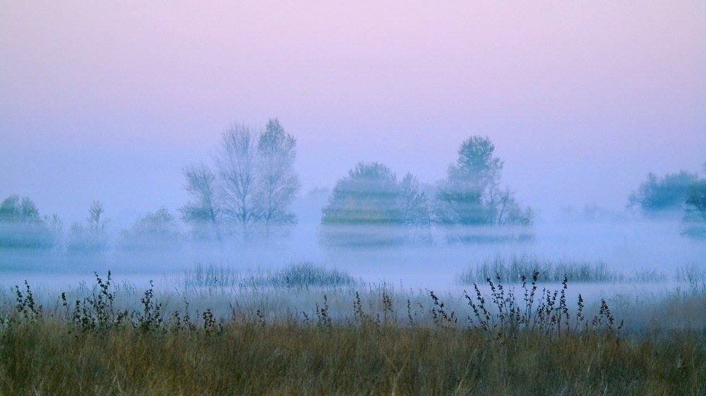Туманный рассвет