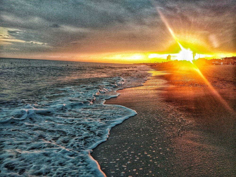 Photo #3347411