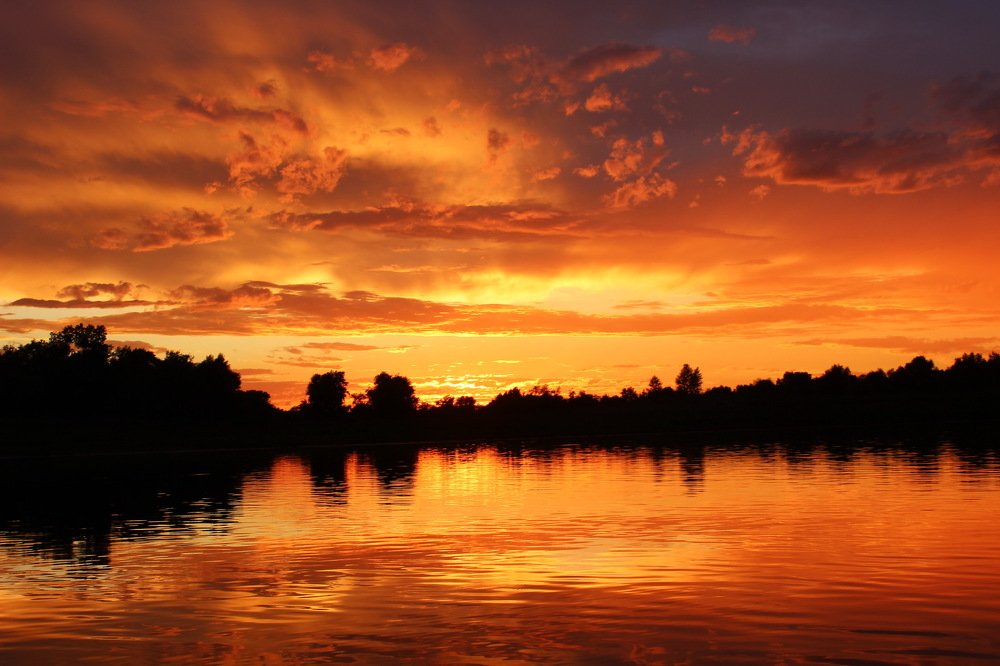 Золото заката