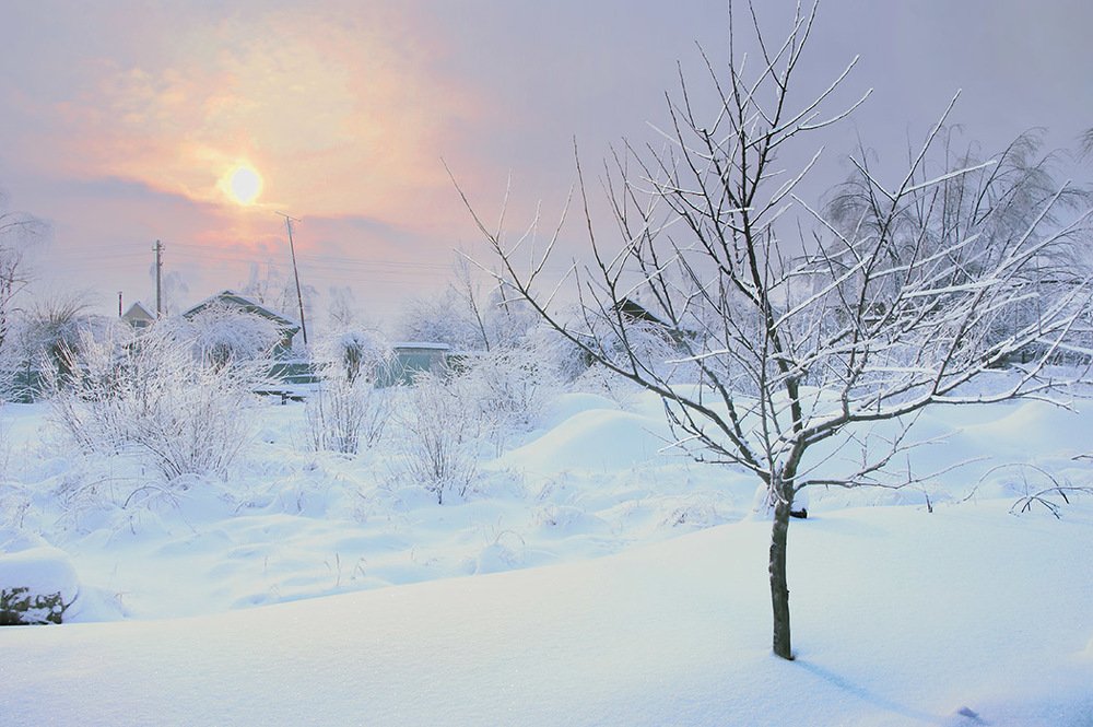 Белая перина зимы.