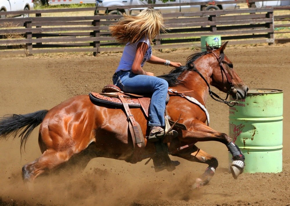 Barrel Racer
