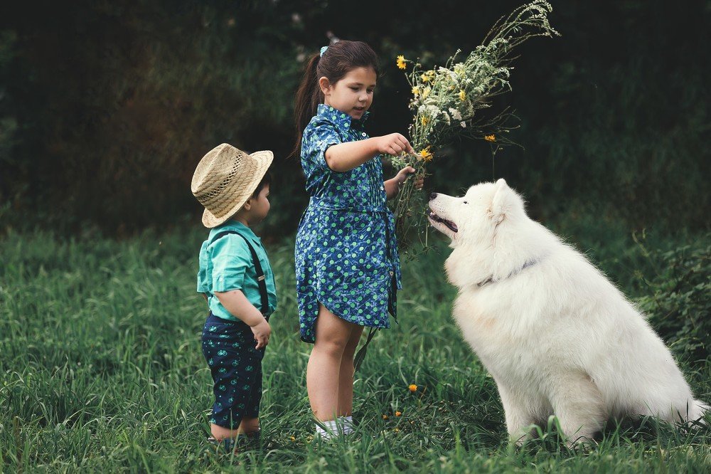 Photograph by Алена Пайвина