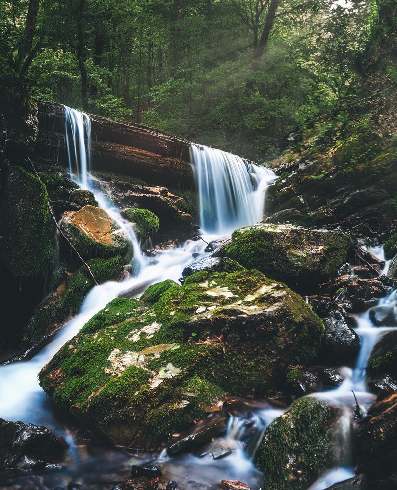 Фотография автора Marina Montale