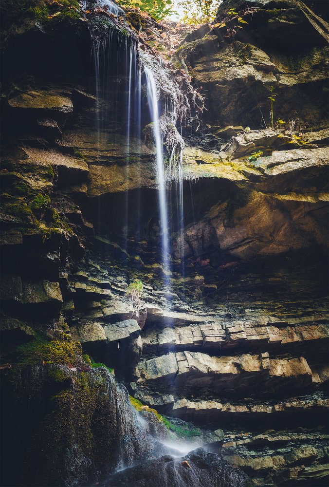 Фотография автора Marina Montale