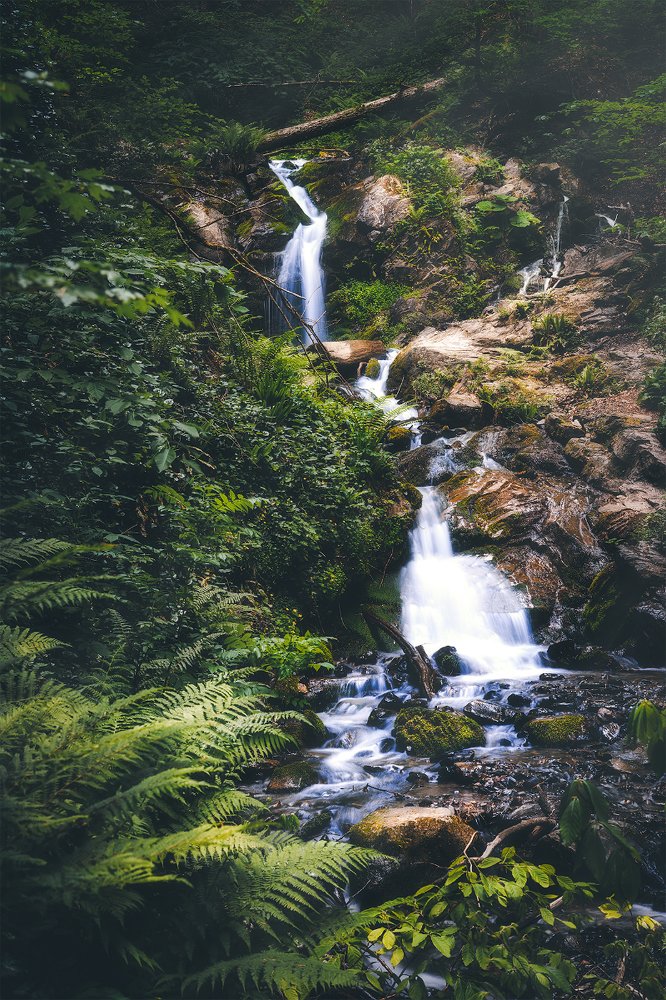 Фотография автора Marina Montale