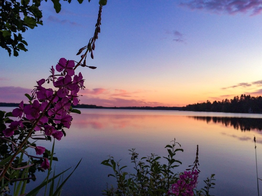 Photograph by Sanket Lama