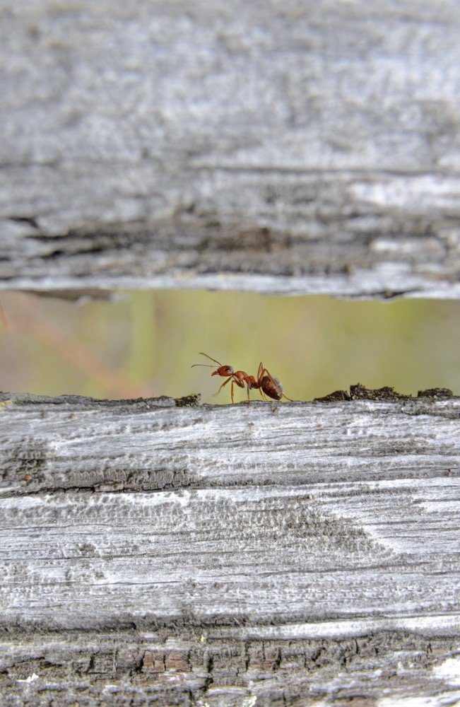 Photograph by Рузаев Дмитрий
