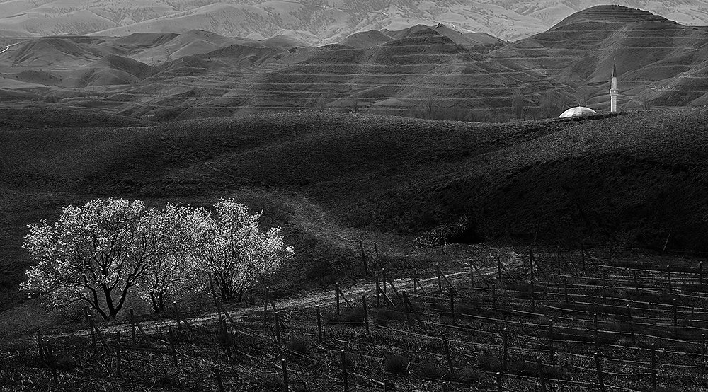 Весна в Солнечной Долине
