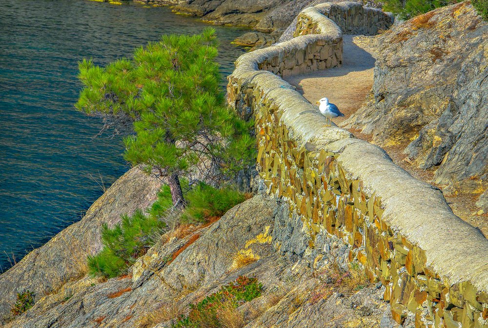 На тропе.Новый Свет.