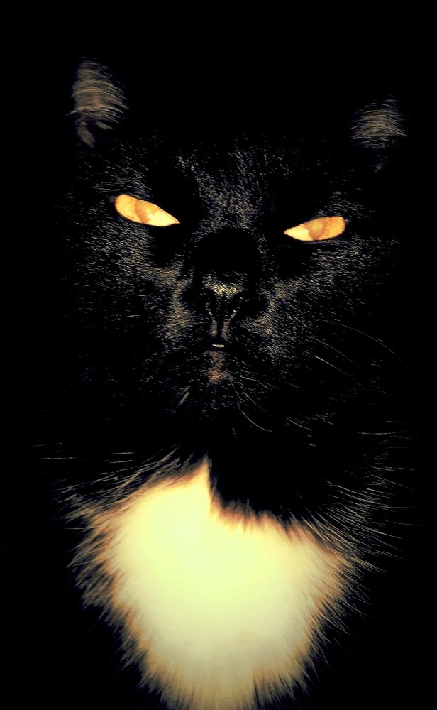 Федя. Портрет.