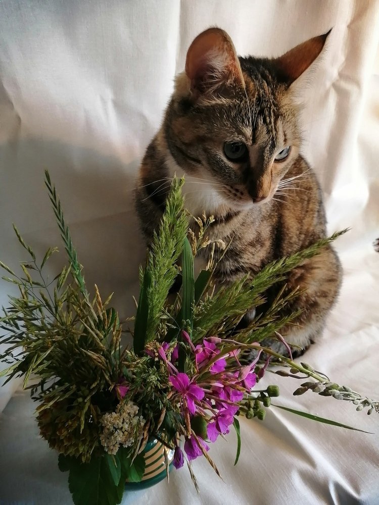 Это всё мне?