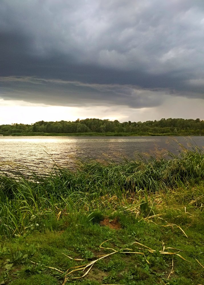 На реке