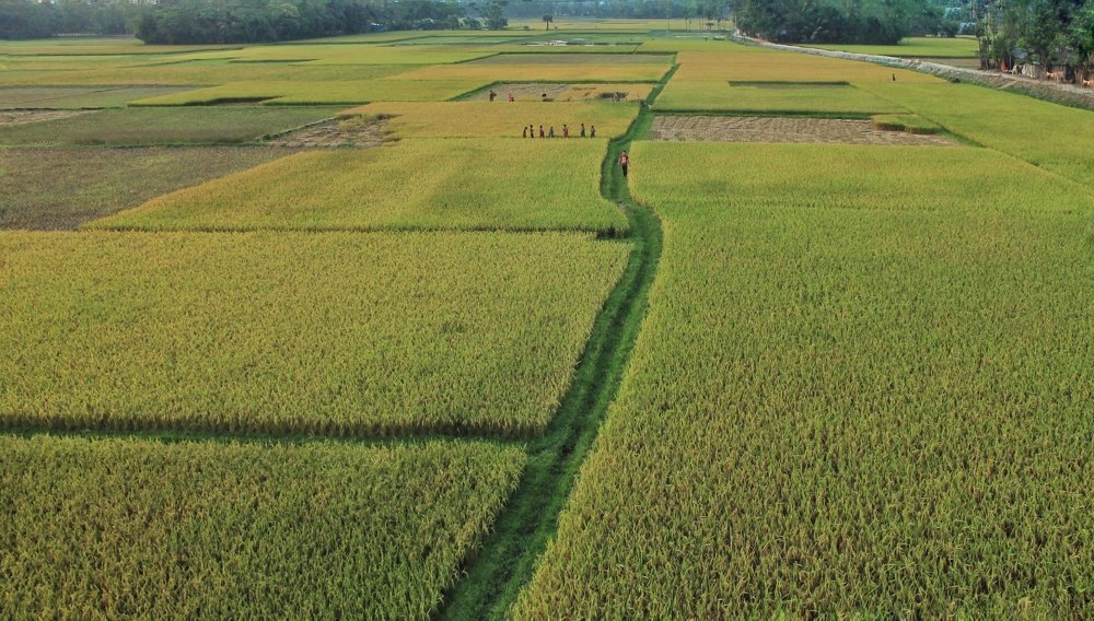 Beautiful Bangladesh