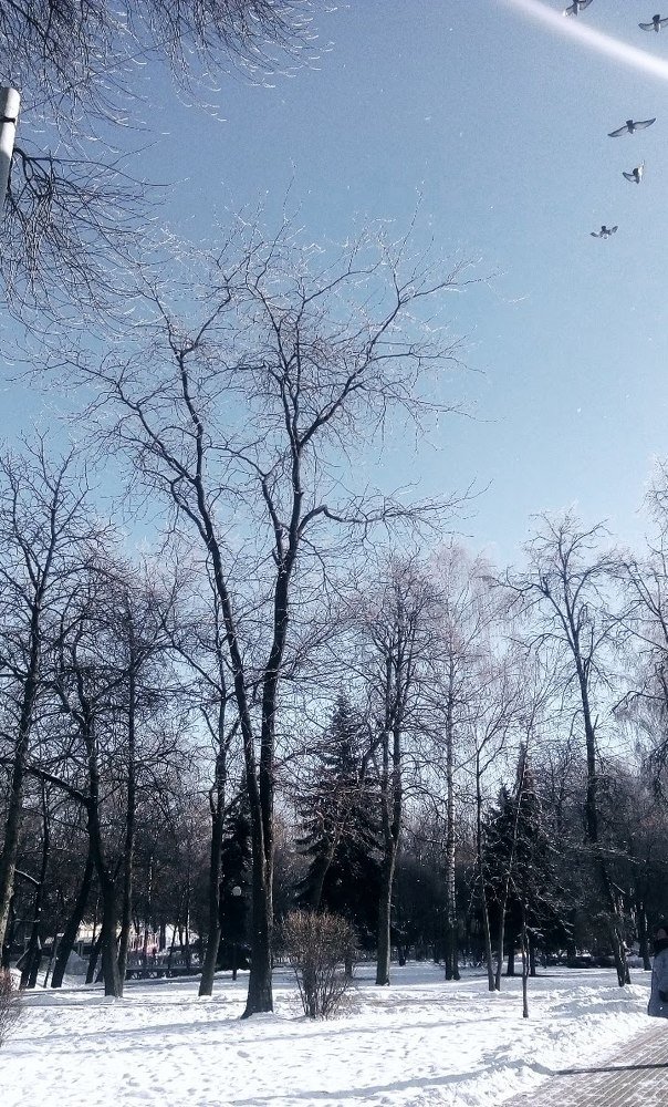 Photograph by Виктория Ковалева