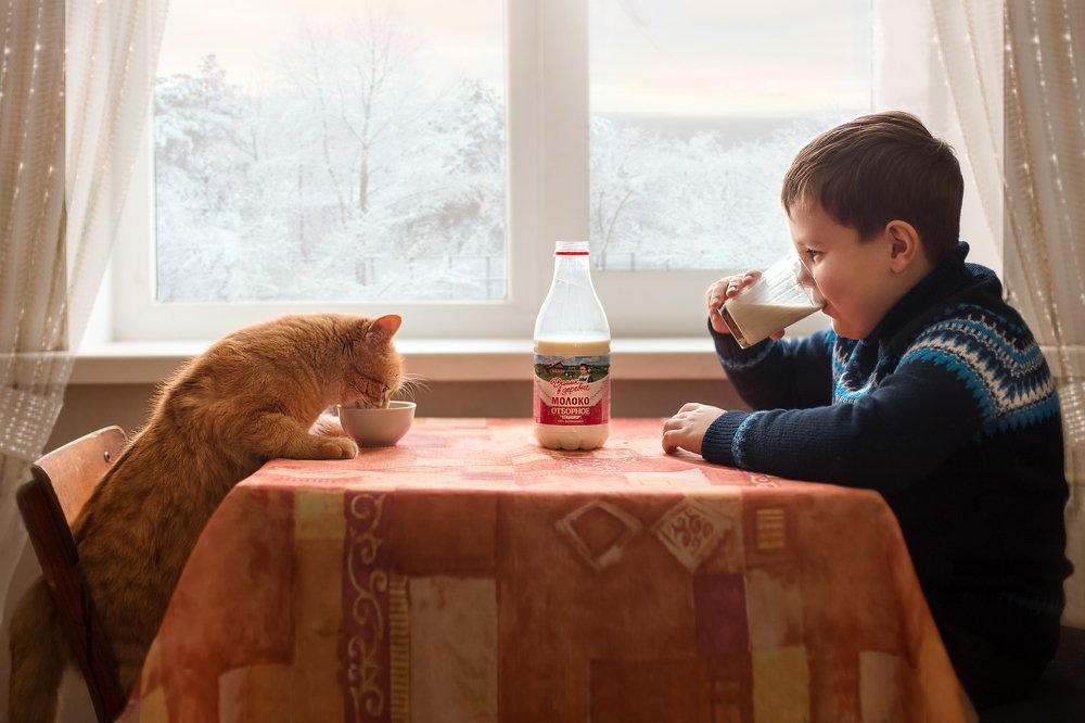 молочный полдник