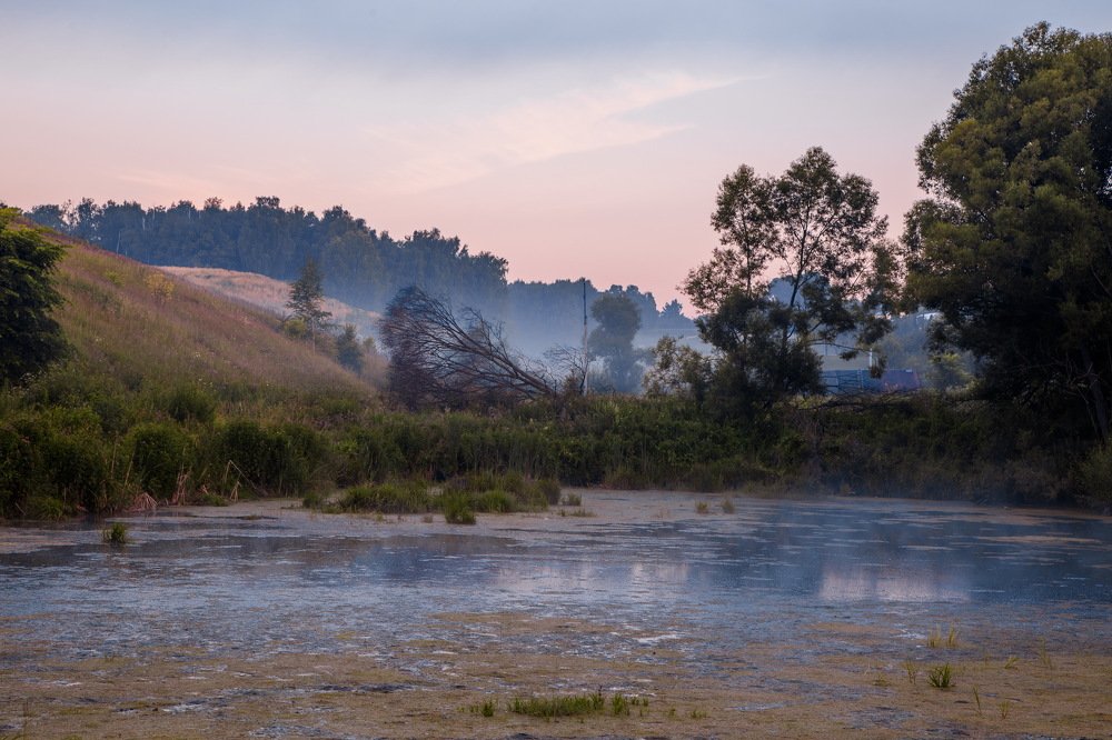 Старый пруд