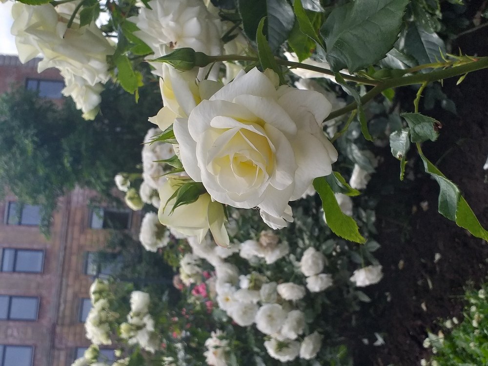 Photo #3349102