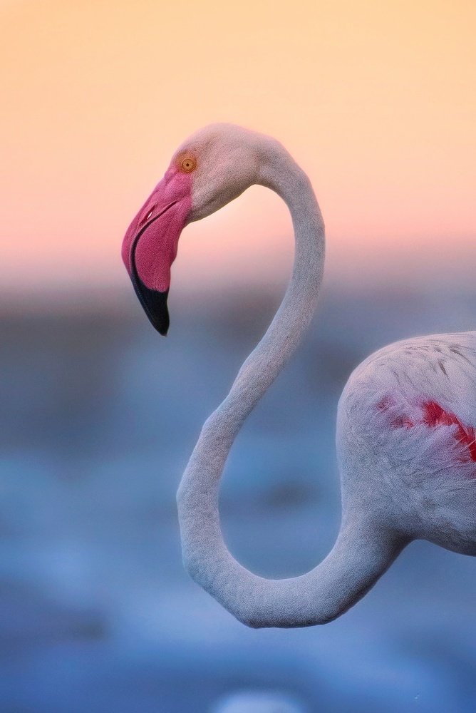 standing with the crowd is easy. It takes courage to stand alone