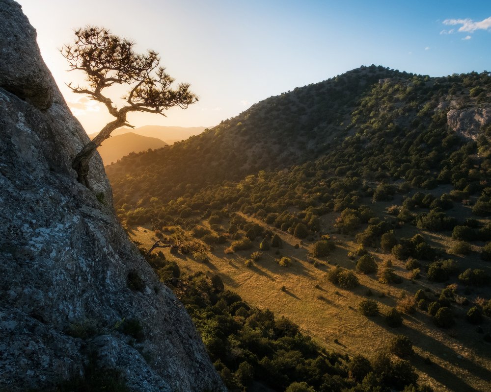 Жажда жизни