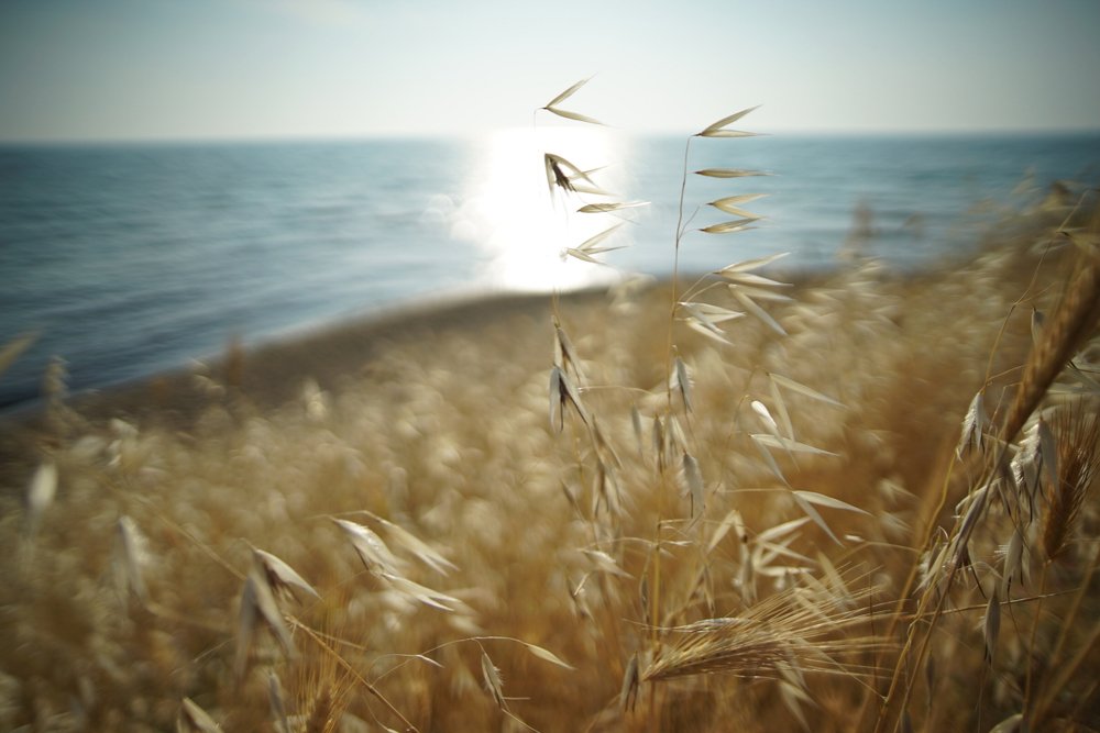 Краски лета