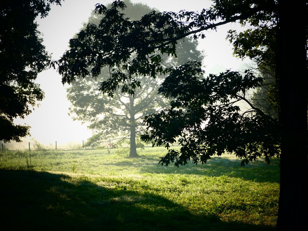 Ранее утро.