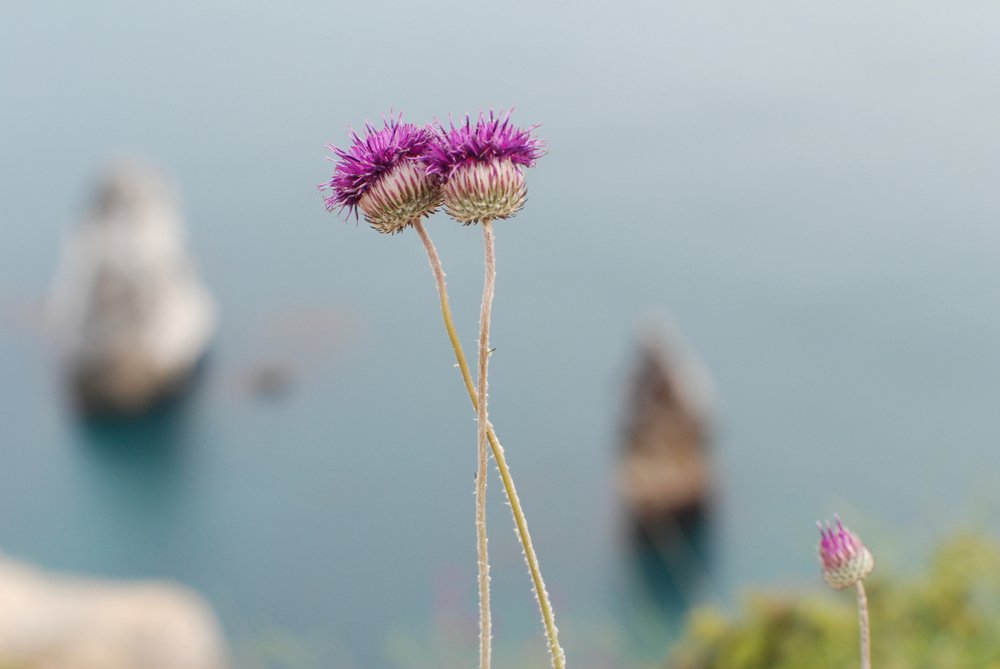 Крымское настроение