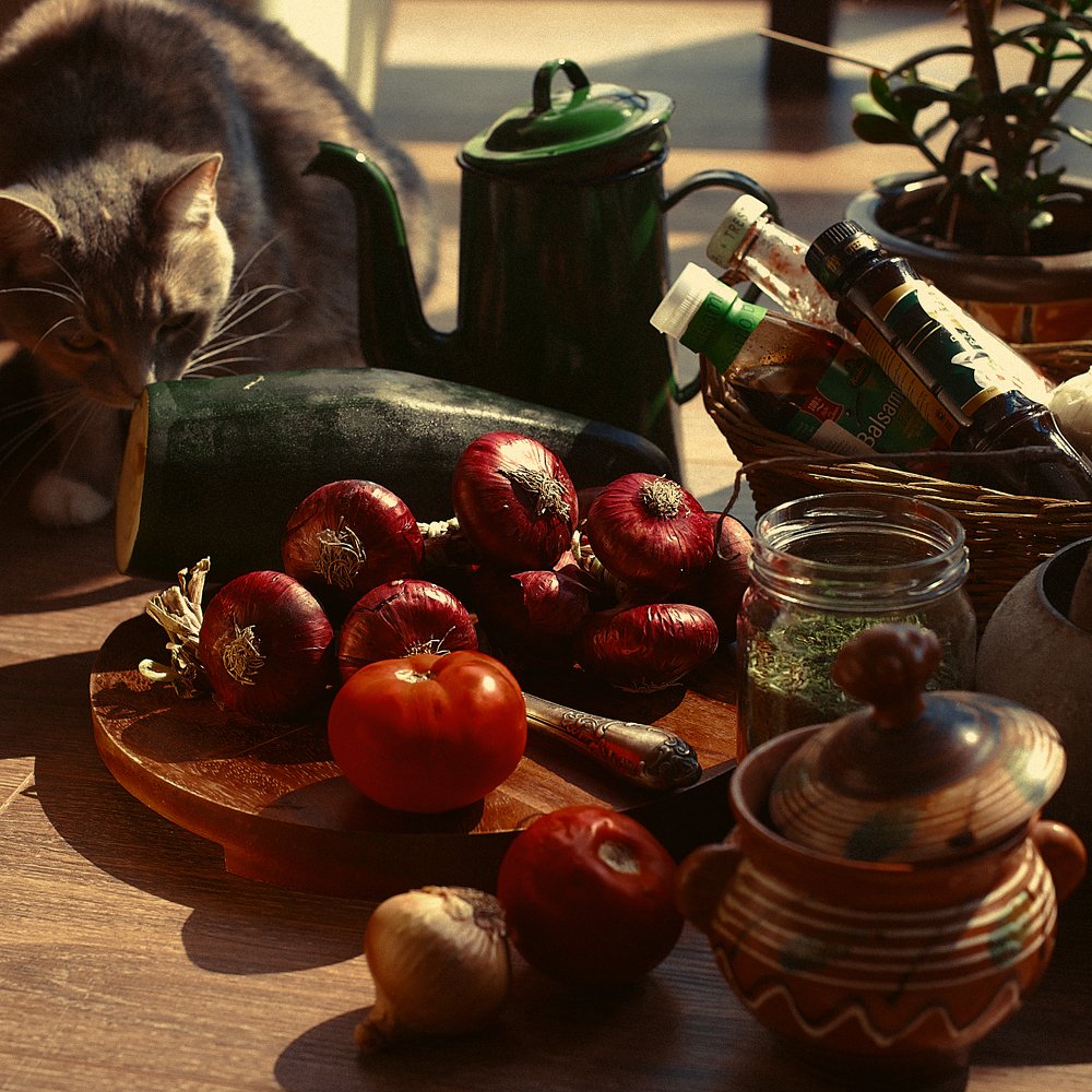 Любопытство