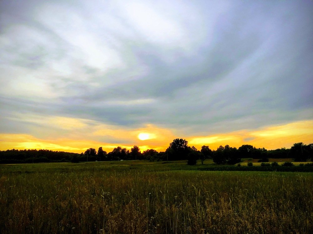 Photograph by Виктория Жуковская