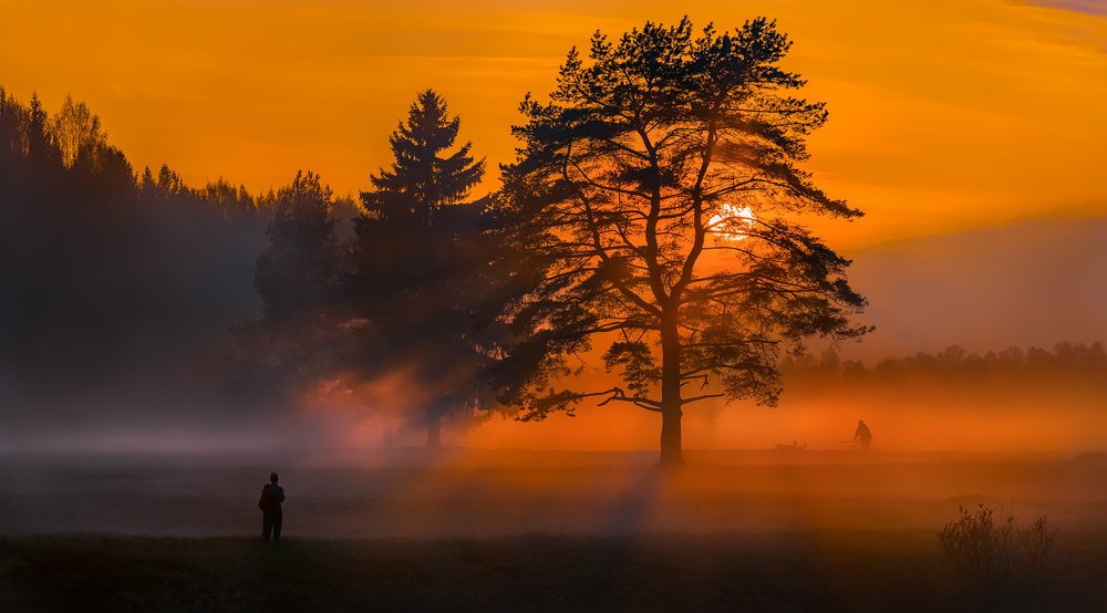 Весенний туман после дождя.