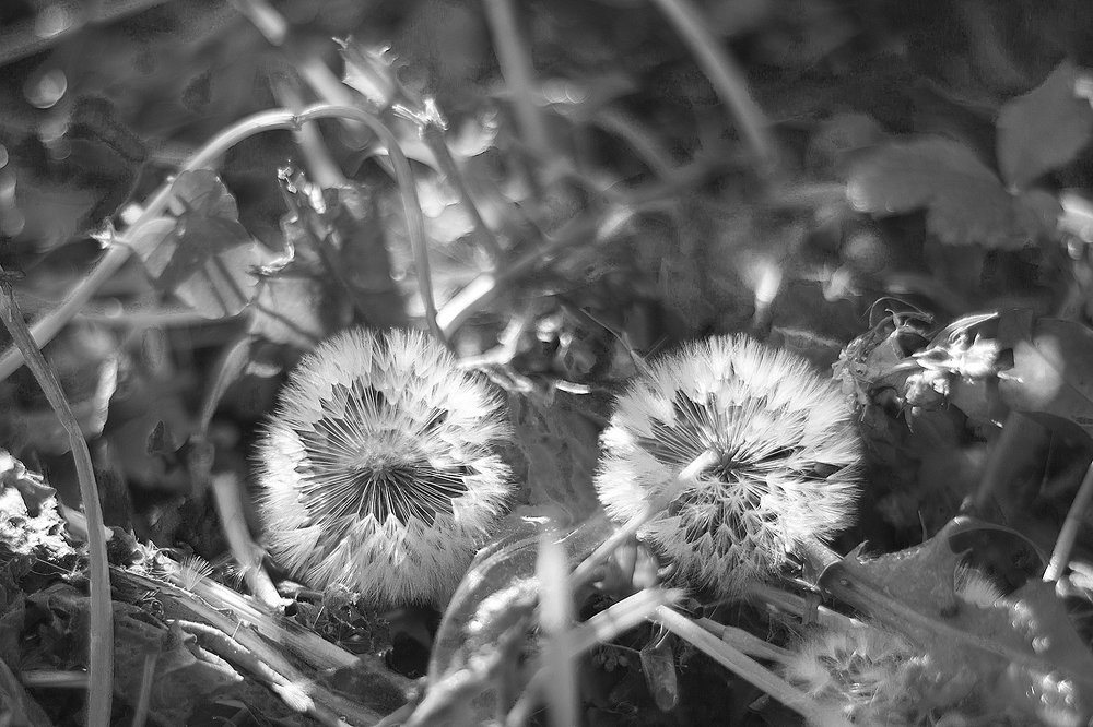 Не взирая ни на что!