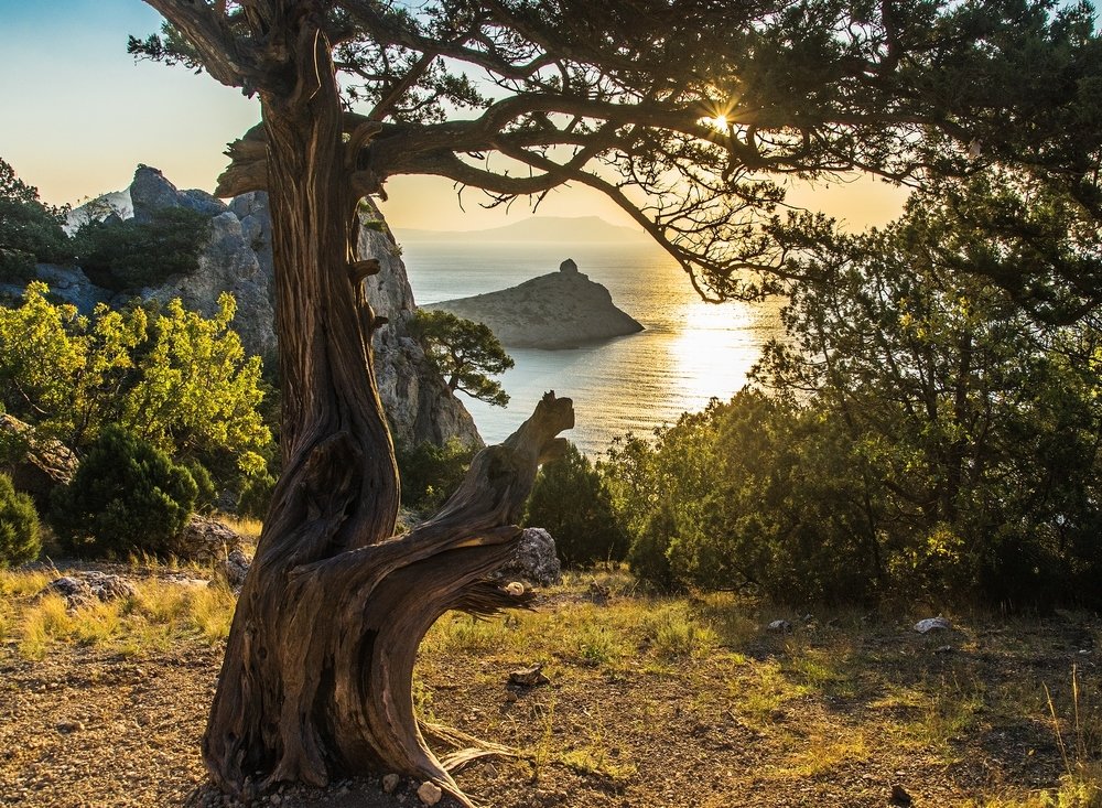 Новый Свет. Утро.