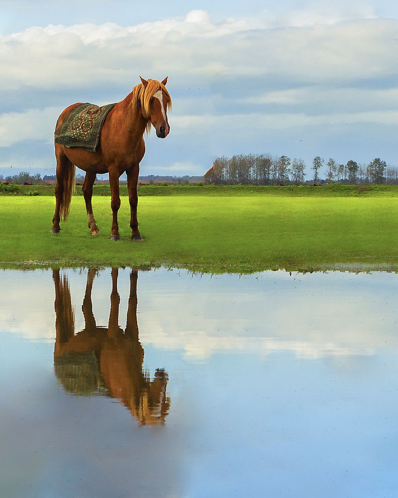 Photograph by Mina Moradi