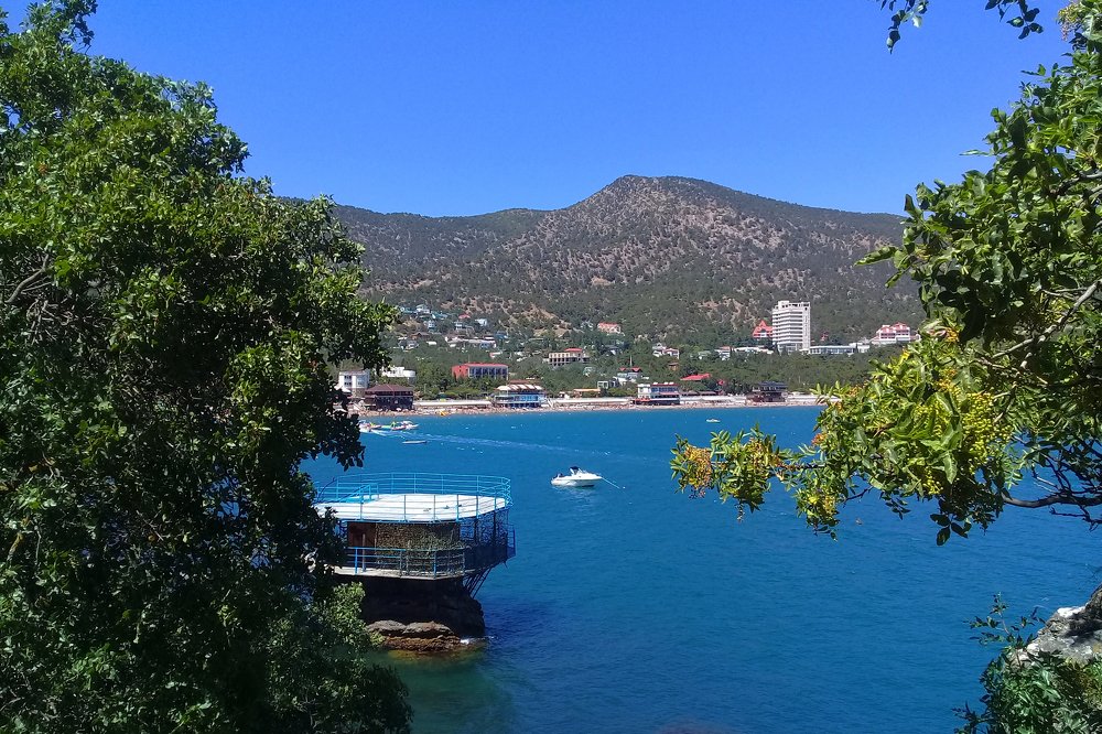 "Новый свет"