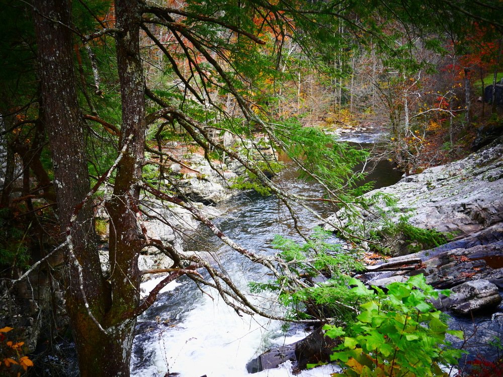 Great Smoky Mountains National Park