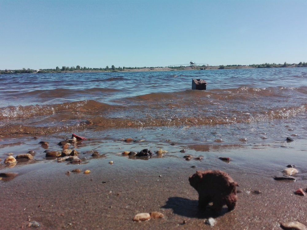 Смотрящий вдаль