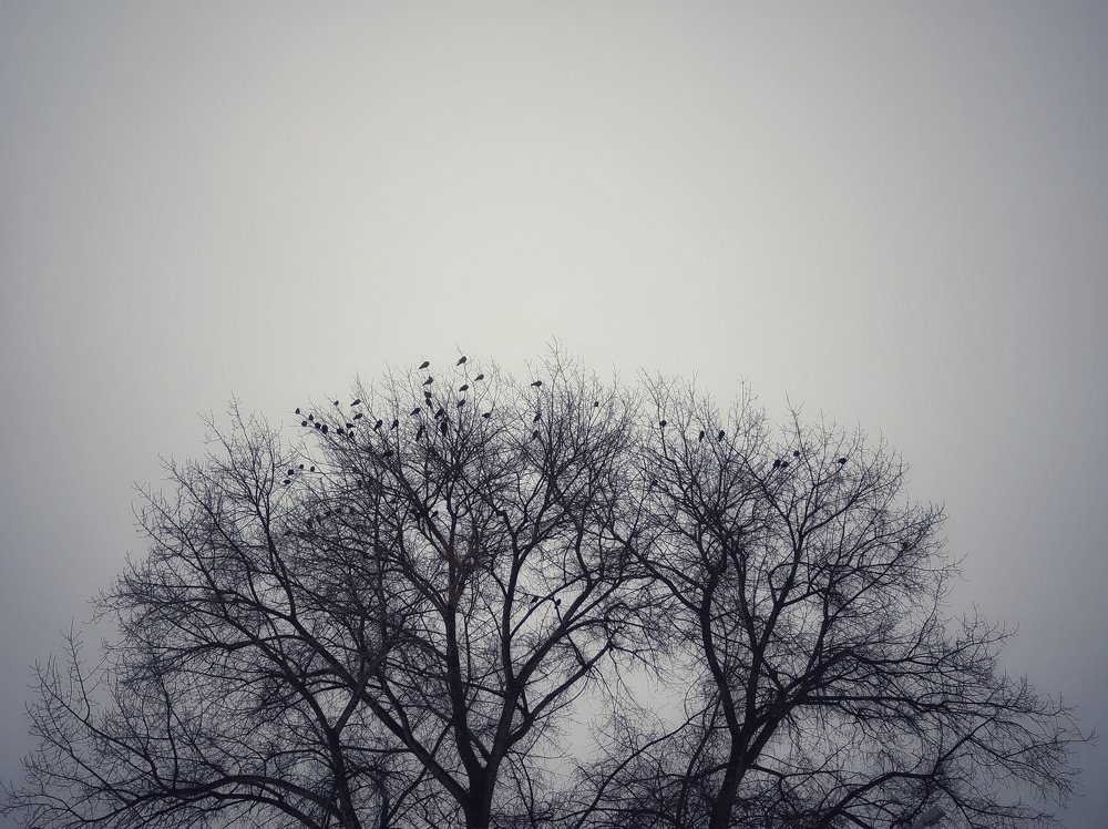 Photo #3350044