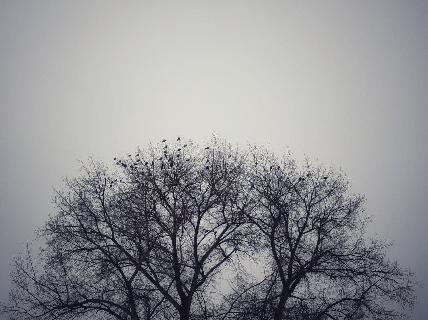 Photo #3350044