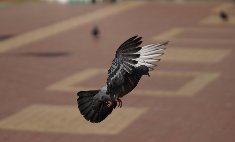 Photograph by Андрей Шартов