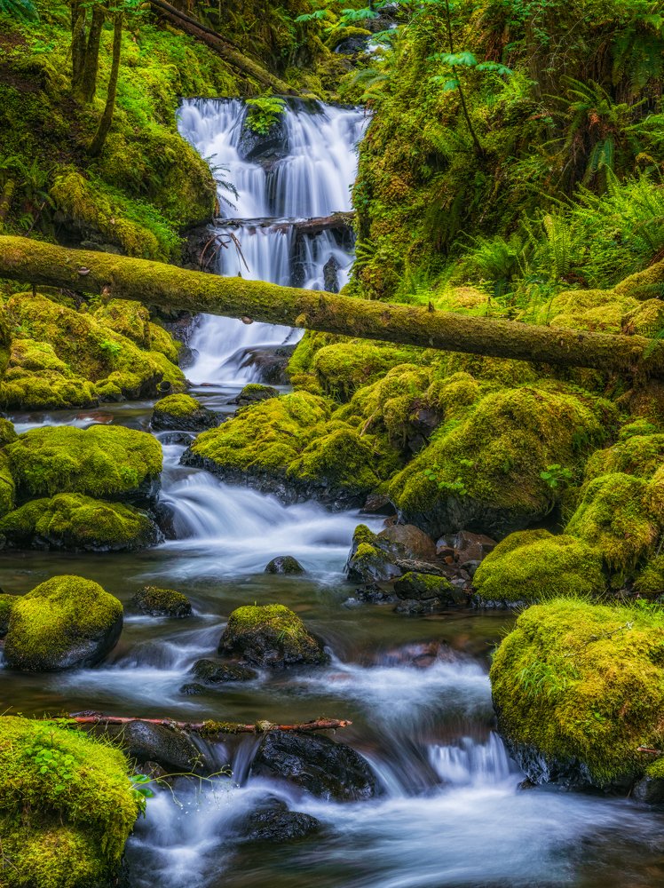 Когда земля была юной